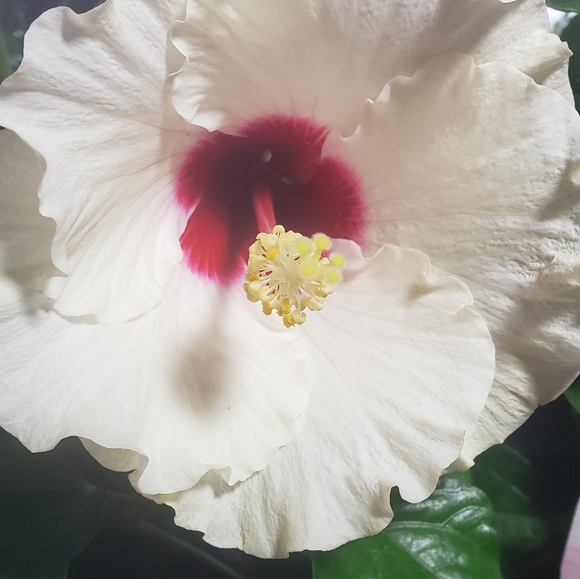 Hello! - Picture 2 of 2